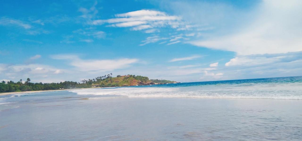 Talalla Bay Inn Beach Bangolow エクステリア 写真